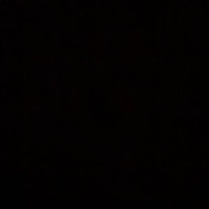 Meet your Posher, Leighton